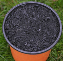 Biochar Sample