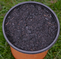 Biochar Sample