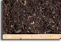 Terra Lite