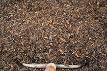 Path Mulch