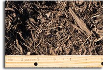 Vineyard Mulch