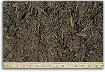 Vineyard Mulch