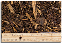 Xmas Tree Mulch
